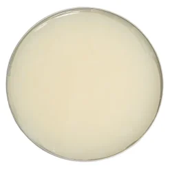 Outlet Cera per Lucidatura a Specchio punta Scarpe in Pelle- Saphir Medaille D'Or Mirror Gloss Lucidi E Creme