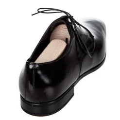 Best Forme da Scarpe per Eliminare le Pieghe dalla Pelle - Tendiscarpe in Legno Tendiscarpe E Tendistivali