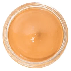 Sale Lucido per Scarpe in Pelle con Applicatore Omaggio - Shoe Cream Lucidi E Creme
