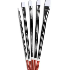 Sale Set di Cinque Pennelli per Tingere le Scarpe - Paint Brushes Tintura Per Pelle Liscia|Tintura Per Pelle Liscia